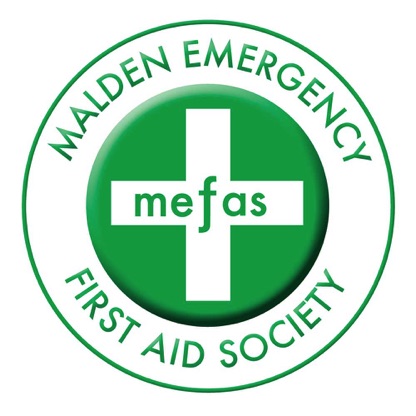 Mefas Logo