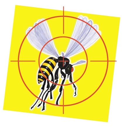 Wasp Target Graphic