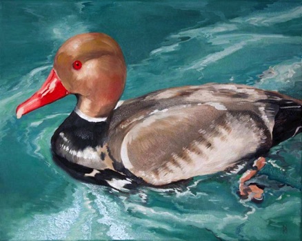 Pochard Duck
Oil on Canvas
